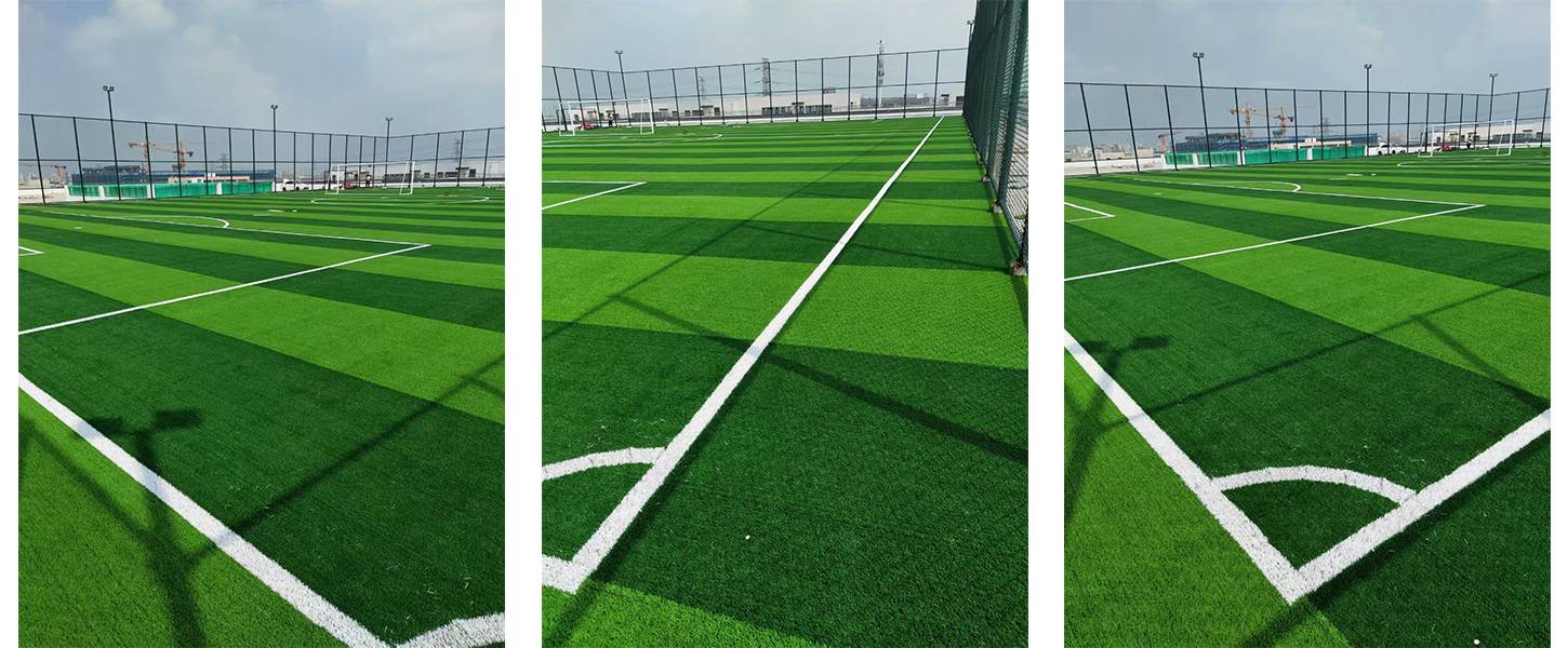 s12000D Football grass appliation(1).jpg